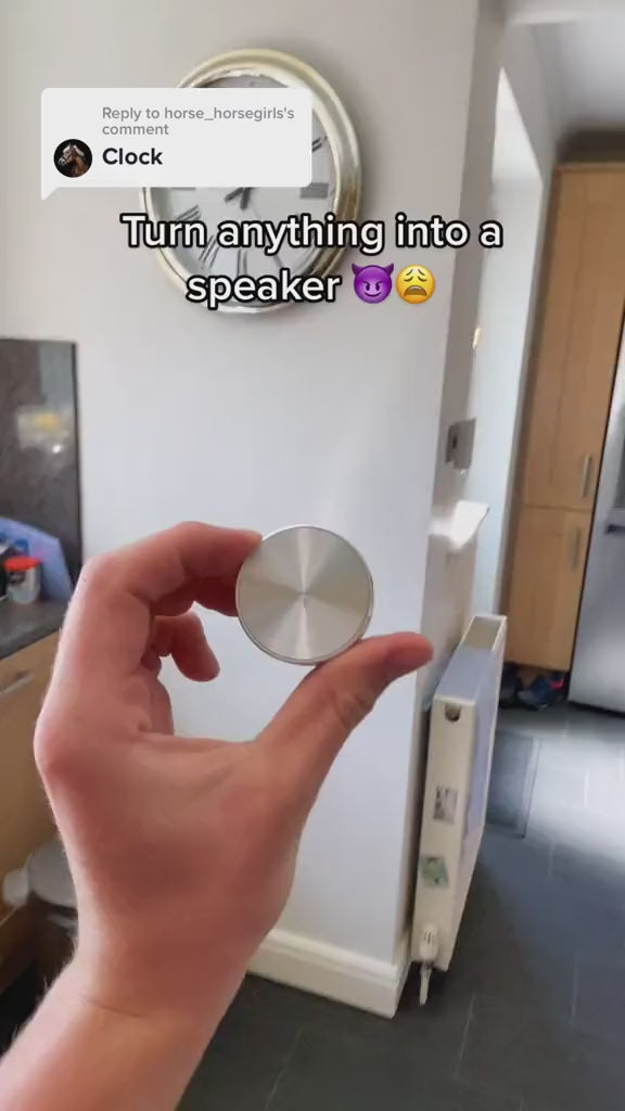 Humbird Bone Speaker | Humming Bird Speaker | TikTok Buys